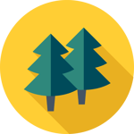 Forestry icon
