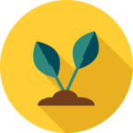 Green Plant icon