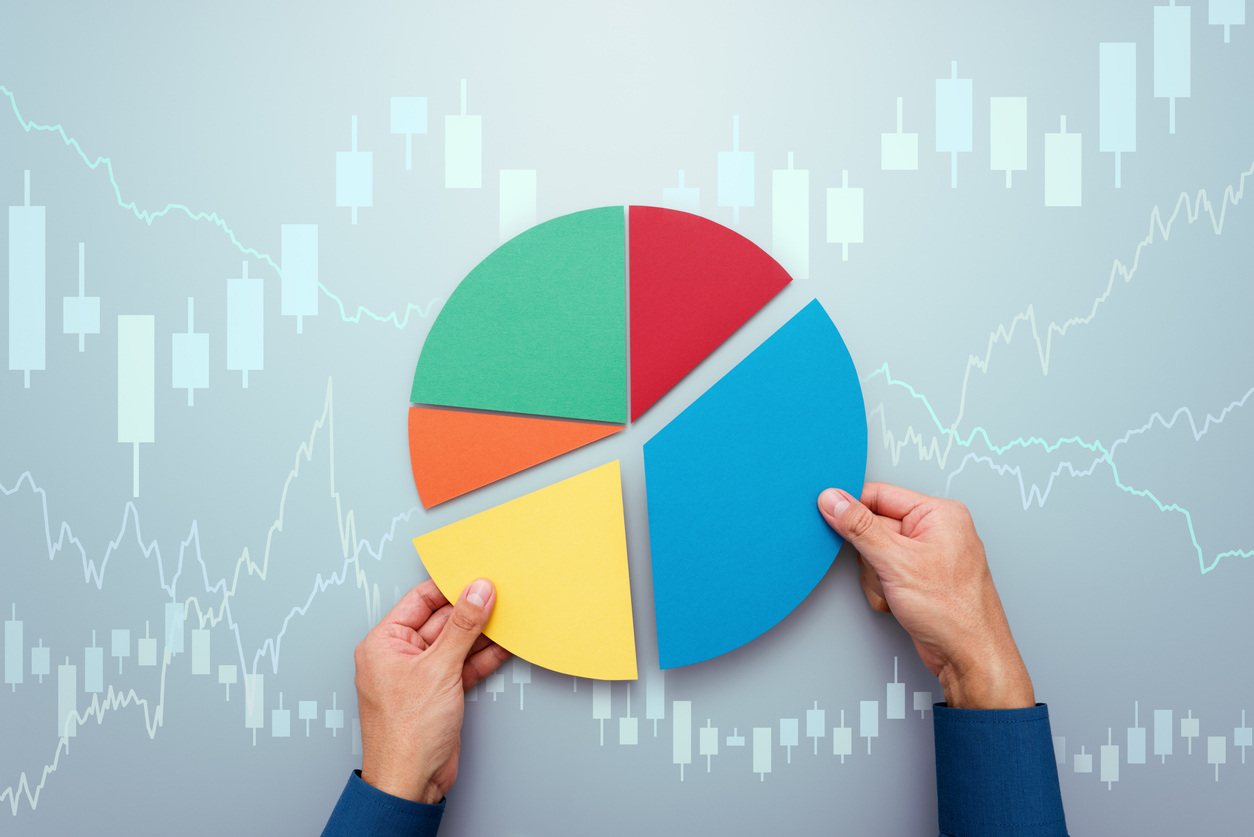 A picture of a portfolio allocation pie chart divided into categories like cash, bonds, stocks, real estate, and insurance. 